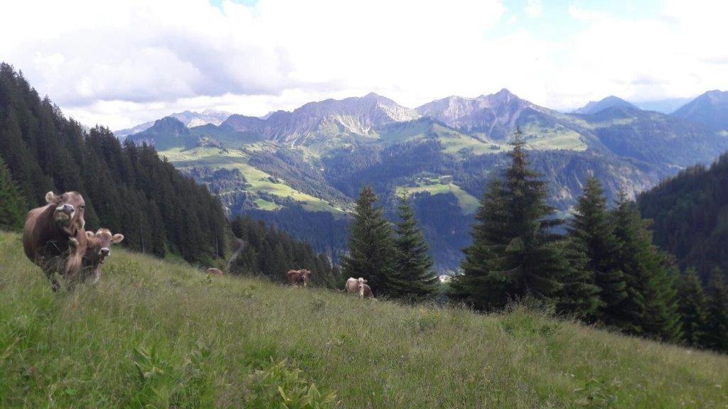 Berghaus Schafer Hotel Faschina Kültér fotó